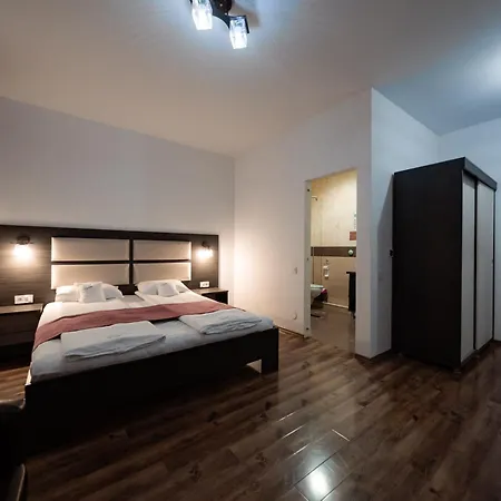 Guest house Quantum House Vatra Dornei